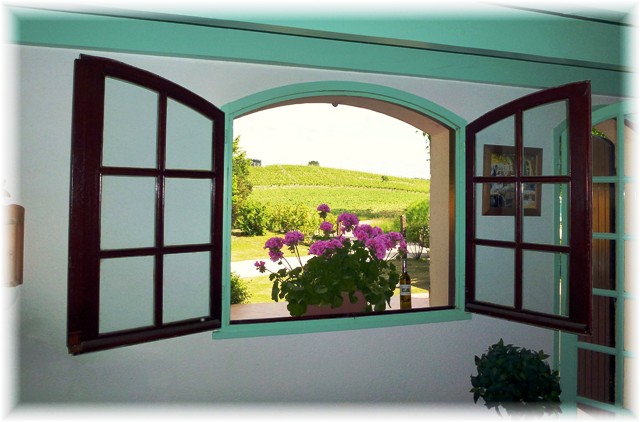 View out of kitchen to local vineyards