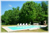 Stunning 10x5m Pool with Roman end steps overlooking the Vineyards of Duras