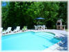 Stunning 10x5m Pool with Roman end steps overlooking the Vineyards of Duras