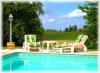 Stunning 10x5m Pool with Roman end steps overlooking the Vineyards of Duras